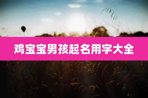 鸡宝宝男孩起名用字大全