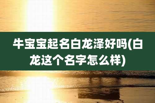 牛宝宝起名白龙泽好吗(白龙这个名字怎么样)