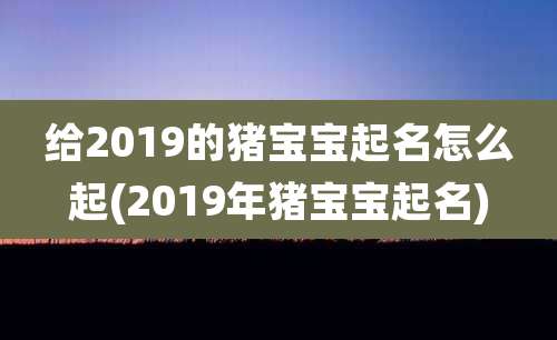 给2019的猪宝宝起名怎么起(2019年猪宝宝起名)