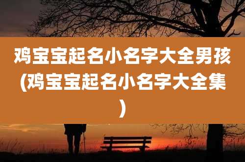 鸡宝宝起名小名字大全男孩(鸡宝宝起名小名字大全集)