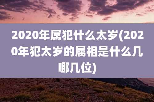 2020年属犯什么太岁(2020年犯太岁的属相是什么几哪几位)
