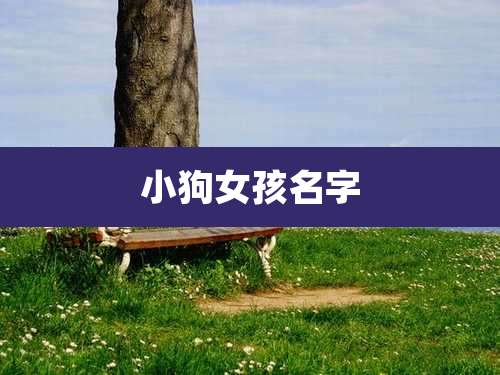 小狗女孩名字