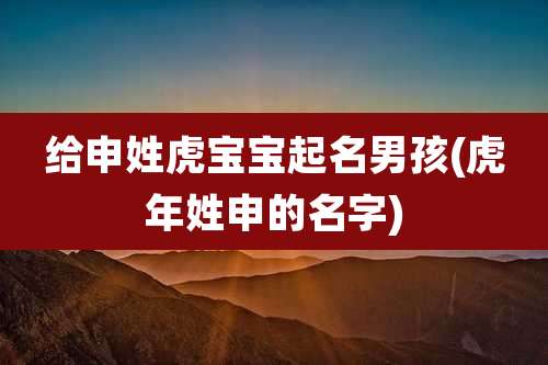 给申姓虎宝宝起名男孩(虎年姓申的名字)