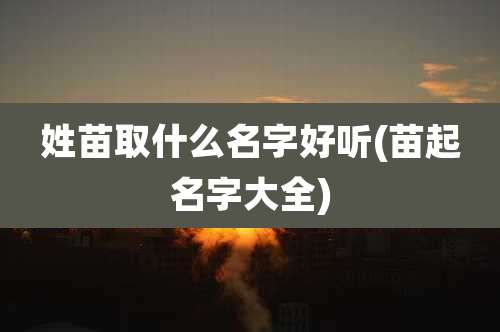 姓苗取什么名字好听(苗起名字大全)