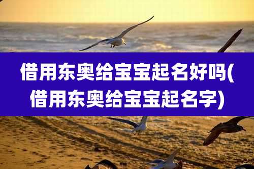 借用东奥给宝宝起名好吗(借用东奥给宝宝起名字)