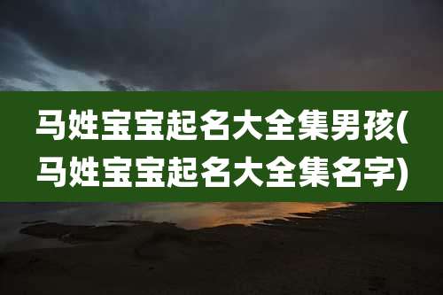 马姓宝宝起名大全集男孩(马姓宝宝起名大全集名字)