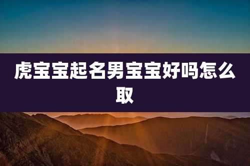 虎宝宝起名男宝宝好吗怎么取