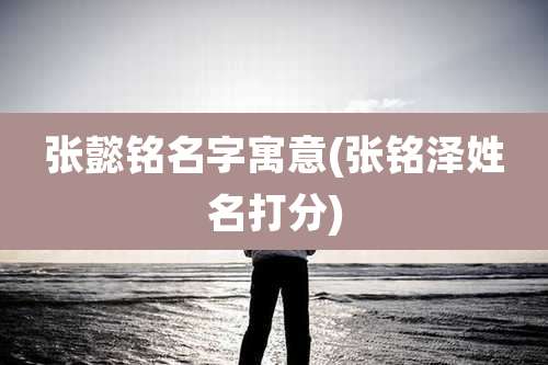 张懿铭名字寓意(张铭泽姓名打分)