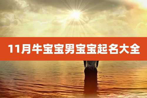 11月牛宝宝男宝宝起名大全