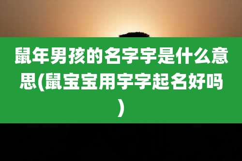 鼠年男孩的名字宇是什么意思(鼠宝宝用宇字起名好吗)