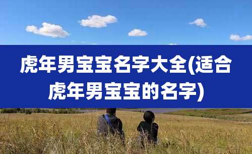 虎年男宝宝名字大全(适合虎年男宝宝的名字)