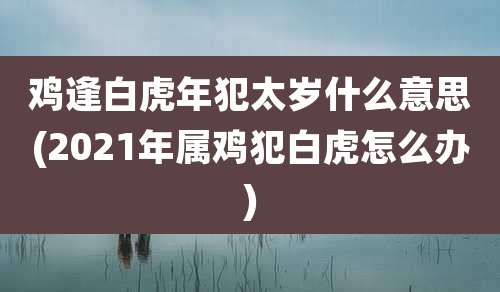 鸡逢白虎年犯太岁什么意思(2021年属鸡犯白虎怎么办)