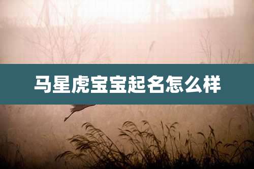 马星虎宝宝起名怎么样