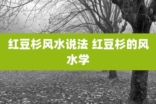 红豆杉风水说法 红豆杉的风水学