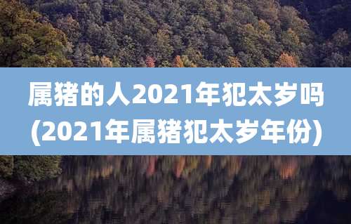 属猪的人2021年犯太岁吗(2021年属猪犯太岁年份)