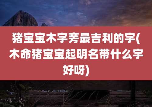 猪宝宝木字旁最吉利的字(木命猪宝宝起明名带什么字好呀)