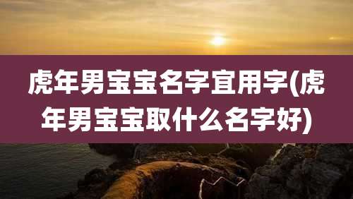 虎年男宝宝名字宜用字(虎年男宝宝取什么名字好)