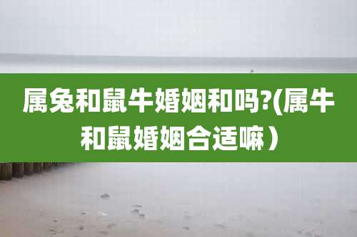 属兔和鼠牛婚姻和吗?(属牛和鼠婚姻合适嘛)