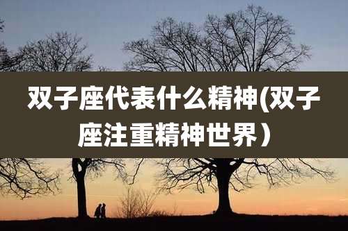 双子座代表什么精神(双子座注重精神世界）