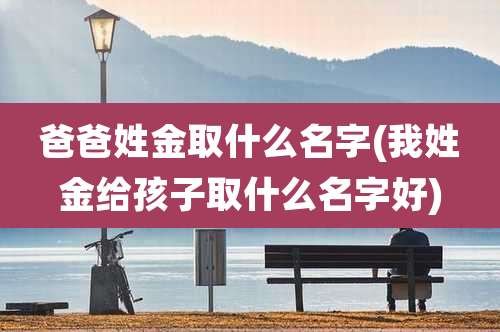 爸爸姓金取什么名字(我姓金给孩子取什么名字好)