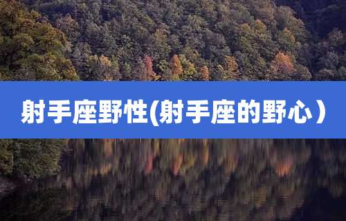 射手座野性(射手座的野心)