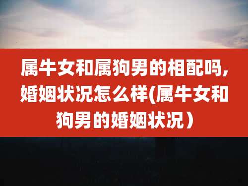 属牛女和属狗男的相配吗,婚姻状况怎么样(属牛女和狗男的婚姻状况)