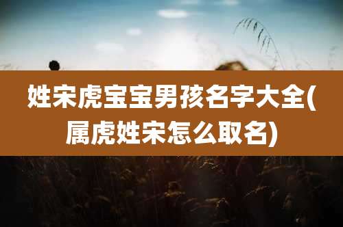 姓宋虎宝宝男孩名字大全(属虎姓宋怎么取名)