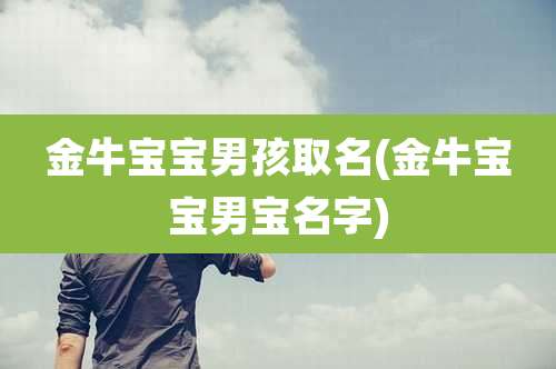 金牛宝宝男孩取名(金牛宝宝男宝名字)