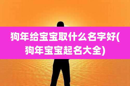 狗年给宝宝取什么名字好(狗年宝宝起名大全)