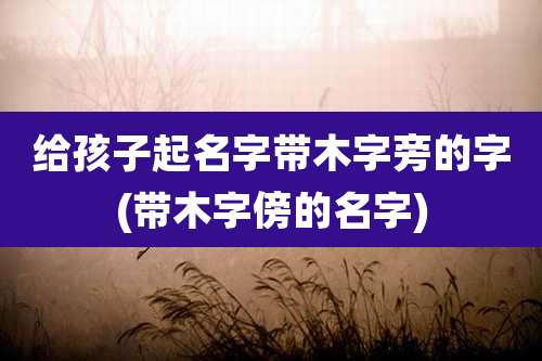 给孩子起名字带木字旁的字(带木字傍的名字)