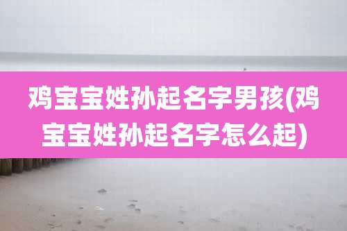 鸡宝宝姓孙起名字男孩(鸡宝宝姓孙起名字怎么起)