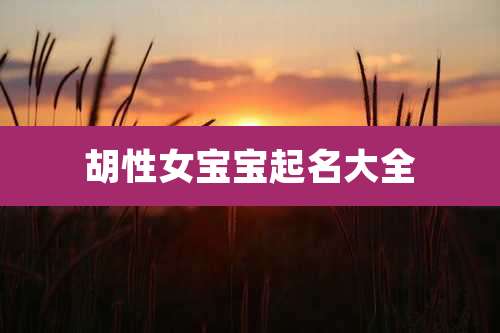 胡性女宝宝起名大全