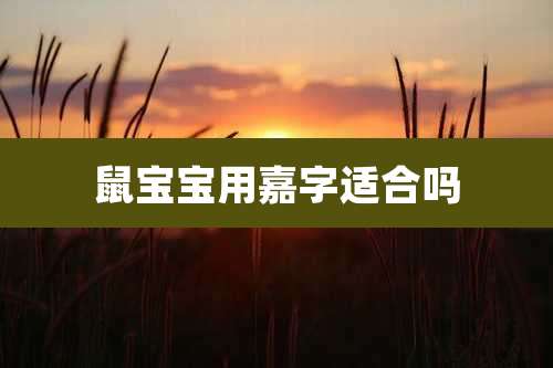 鼠宝宝用嘉字适合吗