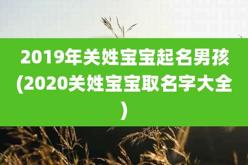 2019年关姓宝宝起名男孩(2020关姓宝宝取名字大全)