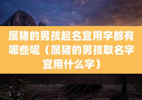 属猪的男孩起名宜用字都有哪些呢(属猪的男孩取名字宜用什么字)