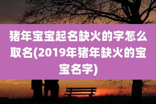 猪年宝宝起名缺火的字怎么取名(2019年猪年缺火的宝宝名字)