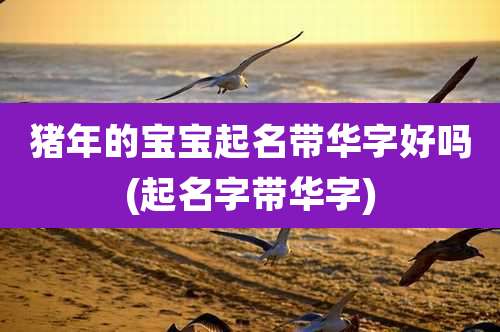 猪年的宝宝起名带华字好吗(起名字带华字)