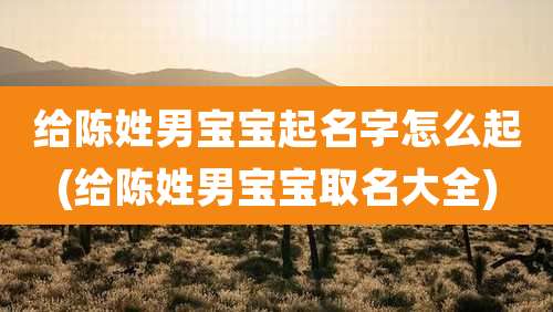 给陈姓男宝宝起名字怎么起(给陈姓男宝宝取名大全)