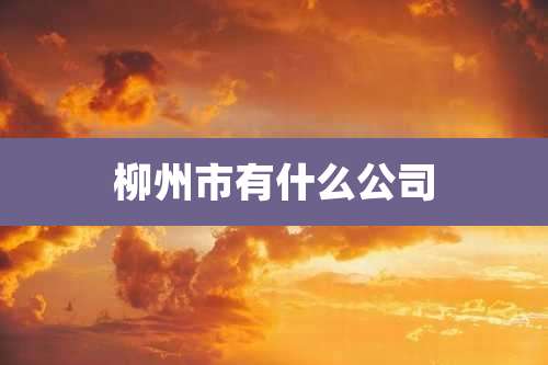 柳州市有什么公司
