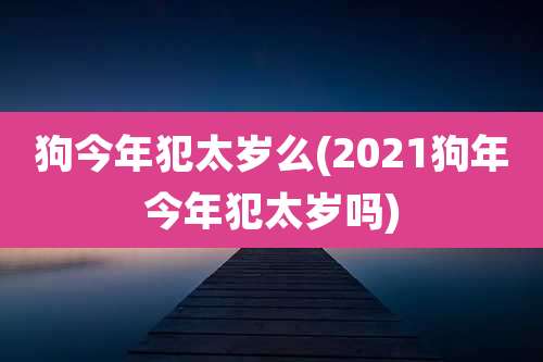 狗今年犯太岁么(2021狗年今年犯太岁吗)