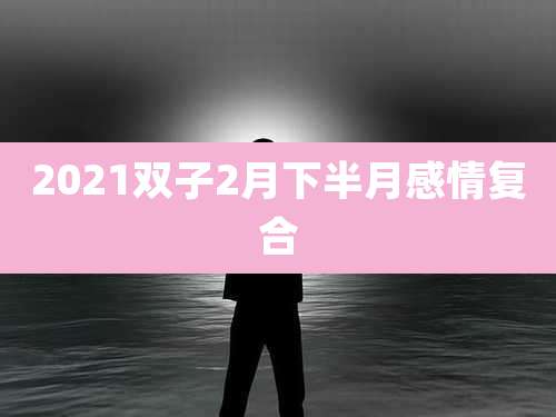 2021双子2月下半月感情复合