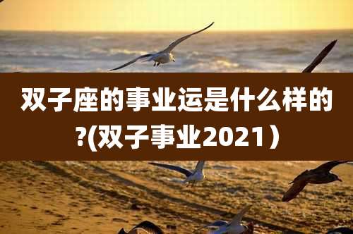 双子座的事业运是什么样的?(双子事业2021)