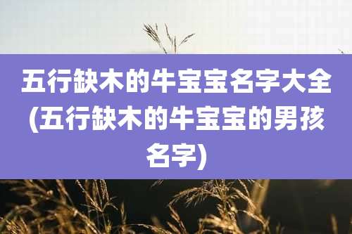 五行缺木的牛宝宝名字大全(五行缺木的牛宝宝的男孩名字)