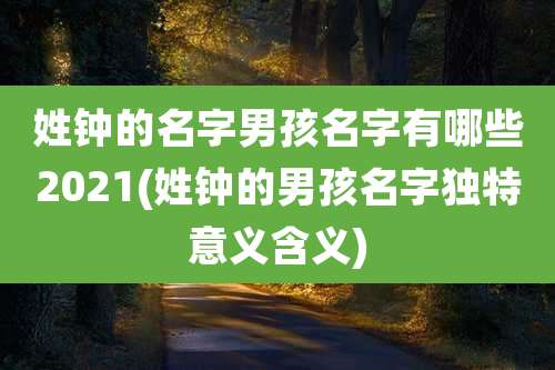 姓钟的名字男孩名字有哪些2021(姓钟的男孩名字独特意义含义)