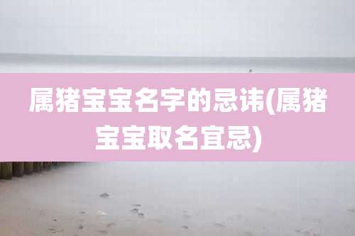 属猪宝宝名字的忌讳(属猪宝宝取名宜忌)