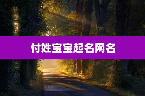 付姓宝宝起名网名