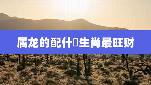 属龙的配什麼生肖最旺财