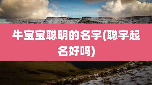 牛宝宝聪明的名字(聪字起名好吗)