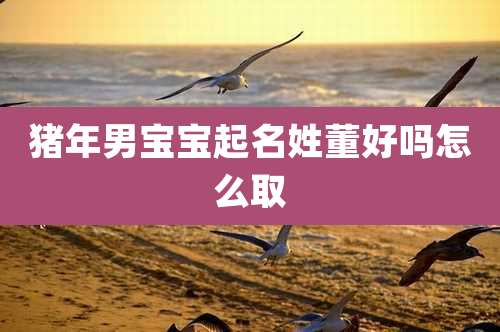 猪年男宝宝起名姓董好吗怎么取