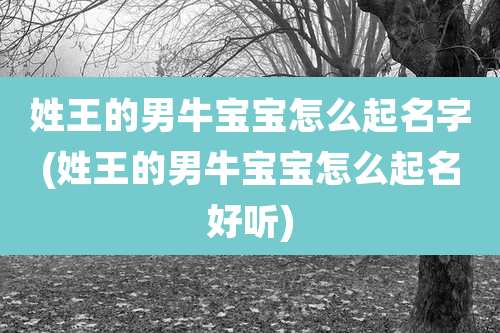 姓王的男牛宝宝怎么起名字(姓王的男牛宝宝怎么起名好听)
